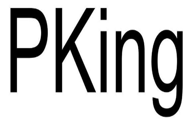 成功案例——第5208129号“P•KING”商标撤销复审案