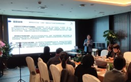 茶话会里话出海，智信禾知识产权海外沙龙分享会成功举办